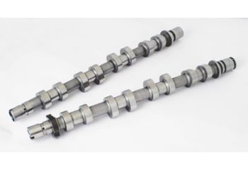 Clio 3 RS 197/200 Cat Cams
